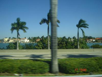 ...Miami...