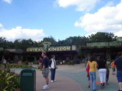 ...Disney...
